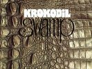 KROKODIL - Swamp - LP Krokodil