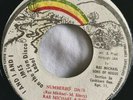 RAS MICHAEL SONS NEGUS Numbered Days Dub 460 Days ZION DISCO JA MICCAN 45002 EX-
