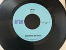 JOHNNY ZAMOT RARE 45 “Can I” Iris Records