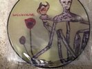 Nirvana Incesticide Vinyl Picture Disc Neat