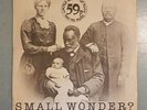 The Carpettes Small Wonder Original Limited Edition 7