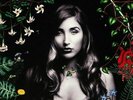 JACKSON, Jade - Wilderness - Vinyl (2xLP)