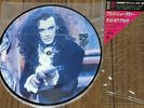 DEAD OR ALIVE - BRAND NEW LOVER  JAPAN PICTURE DISC 7