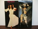 B246: Kate Bush 2LP Gatefold 