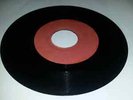 BLANK[COXSONE]/MAMA DIDNT KNOW - THE TERMITES [R/STEADY]  7