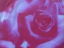 THE WAKE - CRUSH THE FLOWERS (U.K. PRESSING 2 TRK VINYL 7