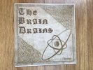 THE BRAIN DRAINS - 10” LP ON J&B RECORDS ( MORDEN ) RARE PRIVATE PRESSING