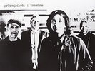 Yellowjackets-Timeline (180G Vinyl) VINYL NUOVO