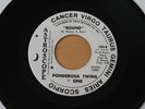 PONDEROSA TWINS + ONE Bound 45 (Astroscope Single Sided Promo) Sweet Soul HEAR