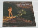 Big Sleep Bluebell Wood, 1st UK press. Record looks like M-, sounds Ex+.Cover EX