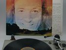 TERRY RILEY - A RAINBOW IN CURVED AIR - MINIMAL/AMBIENT -JAPAN