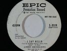 R&B 45 JIMMY BREEDLOVE I Say Hello/All Is Forgiven on Epic wlp