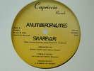A Number Of Names electronic disco12 single Sharevari Capriccio archer stamp