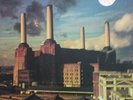 Pink Floyd-Animals             in Pink vinyl