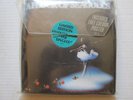 A Flock of Seagulls limited edition 10 import 45's in a plastic sleeve
