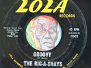 HEAR Ric-A-Shays 45 Turn On/Groovy LOLA surf tittyshaker rockabilly instro