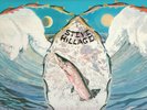 STEVE HILLAGE - Fish Rising [1975] VINYL (Virgin VR 13-118) NM+/NM-