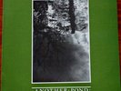 NOT DROWNING, WAVING - Another Pond - LP Vinyl AUS 1986 Rampant