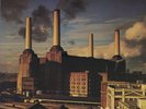 Pink Floyd - Animals JAPAN LP Sticker