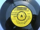 Tiny Tim, Tip-Toe Thru' The Tulips With Me/ I Got You Babe 7