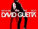 David Guetta - Nothing But the Beat