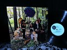 1968 rare Orig ? FUZZ PSYCH ? THE LITTLE BOY BLUES ? WOODLAND OF BLUES GARAGE