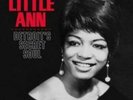 LITTLE ANN: DETROIT'S SECRET SOUL (LP vinyl *BRAND NEW*.)