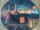 PINK FLOYD - ANIMALS - VERY RARE 12