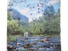 MARK & BONNIE BRANCIAROLI WANDERING IN THE WOODS 1979 LP RARE PRIVATE FOLK PSYCH