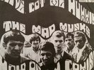 Rare, Obscure The Mad Munks 68 South Africa Garage, Beat, Rock