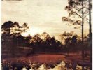 SILVER JEWS: STARLITE WALKER [LP vinyl]