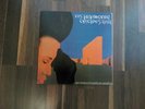 Disharmonic Orchestra Vinyl Not To Be Undimensional Conscious Germany 1992 Exc