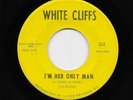 Joe Wilson - I'm Her Only Man / I Want To Love You (Soul, 45) 242
