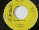 DETROIT NORTHERN SOUL 45 THE APPRECIATIONS SPORT RECORDS 108 SHE NEVER REALLY