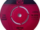 The Riot Squad Anytime Vinyl Single 7inch Pye