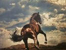 Bruce Springsteen - Western Stars LIMITED EDITION EXCLUSIVE  Dark Blue Vinyl new