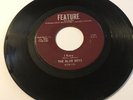 Rare Garage Monster 45 Rpm 7” The Blue Boys - I Know / Hey Ho - Feature 817R-113