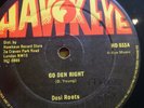 Desi Roots / go deh right / hawkeye 12
