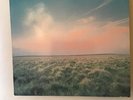 oasis 12 inch vinyl Record Whatever