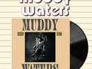 Muddy Waters King Bee 180 Gram Audiophile Vinyl LP, Translucent Gold Colored