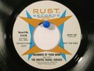 The United Travel Service Rust 5120 Promo Drummer of Your Mind / Wind and Stone