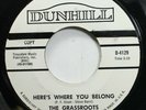 Rock Promo Nm  45 The Grassroots - Here'S Where You Belong / Feelings On Dunhill