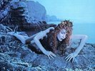 Roxy Music - Siren (LP, 1/2 Speed, 2017 Virgin, EU, ROXYLP 5, Sealed)