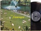 The FLAMINGOS same Checker LP1433 strong VG