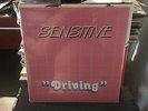 Sensitive ?– Driving 12