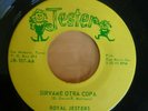45 - RARE SAN ANTONIO TEXAS LATIN, THE ROYAL JESTERS, JESTER 107, SHINY E- COPY