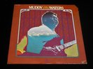 Muddy Waters-