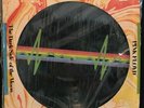 Pink Floyd Dark Side Of The Moon 1978 Limited Edition Picture Disc LP Record