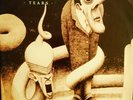 The Chameleons - Tears 12