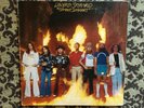 Lynyrd Skynyrd - Street Survivors - 1977 US 1st Press Flames Cover (EX)